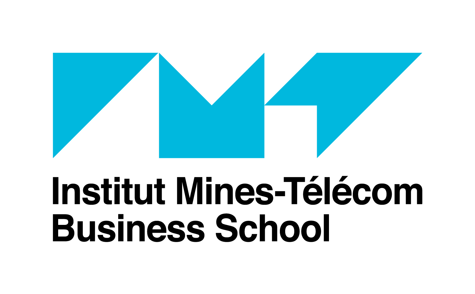 IMT-BS